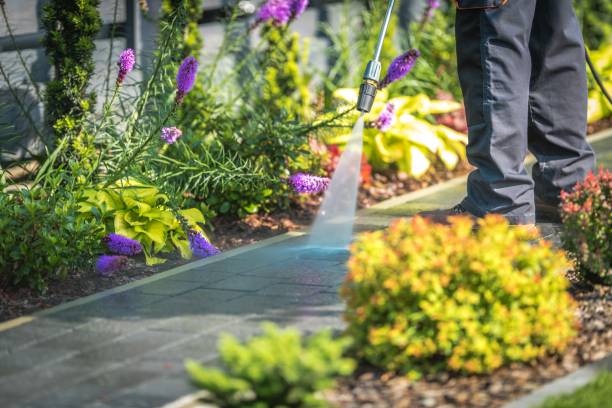 Reliable Anaheim, CA Pressure Washing Services Solutions